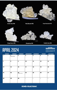 2024 Kind Selections Calendar CELEBRATING 10 YEARS!