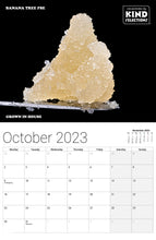 2023 Kind Selections Calendar